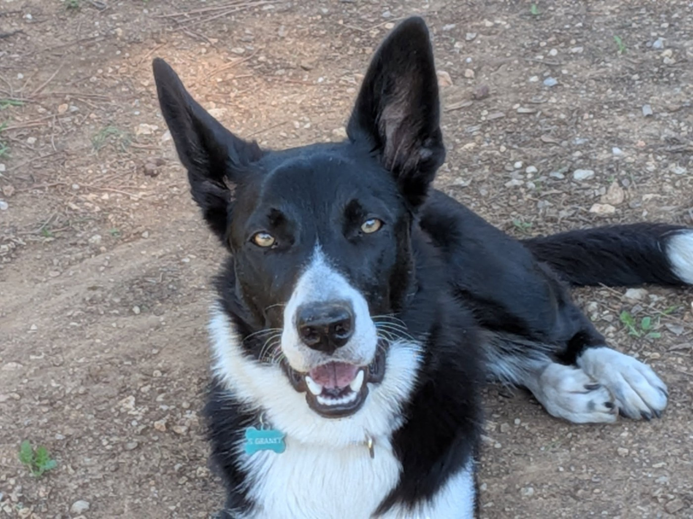 VOXY  Huan Seha Sy-Phaa